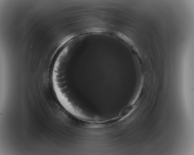 X0000085221170200703301657