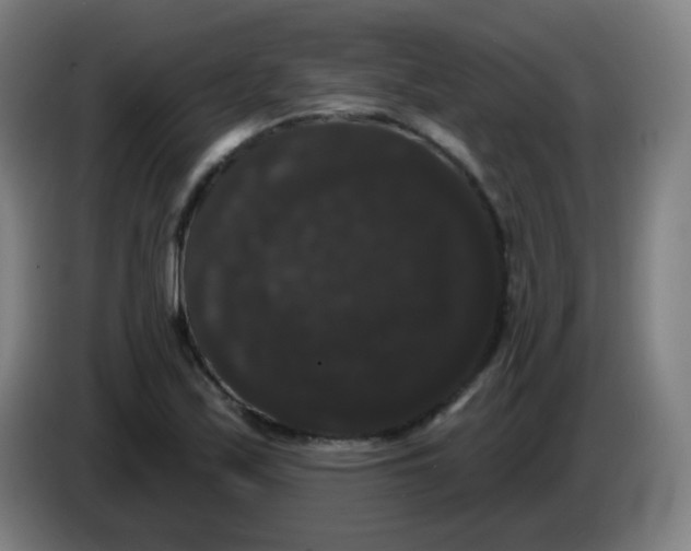 X0000085221171200703301657