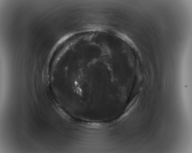 X0000085221172200703301657