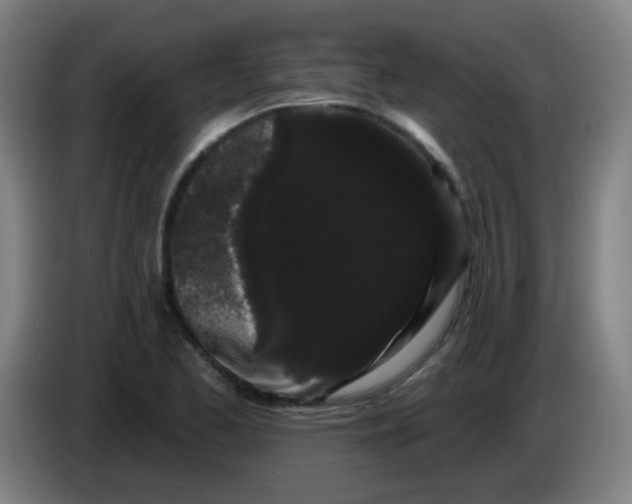 X0000085221173200703301657