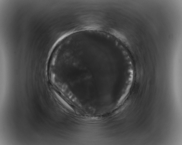 X0000085221174200703301657