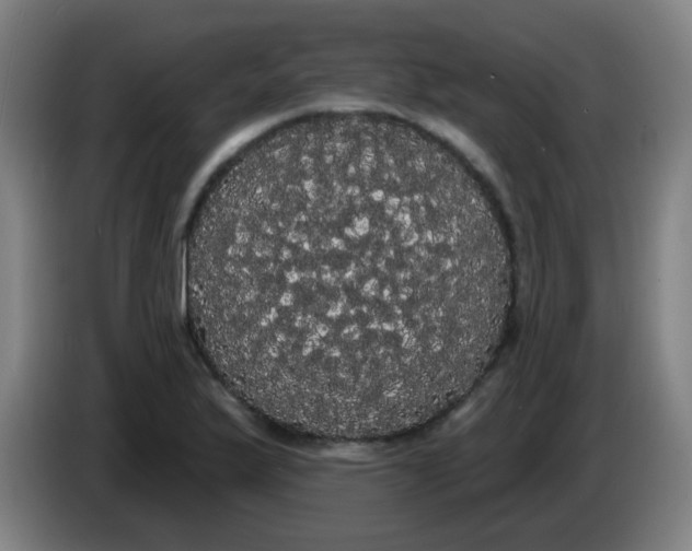 X0000085221175200703301657