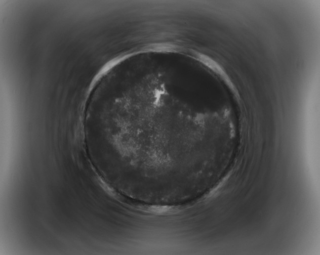 X0000085221176200703301657