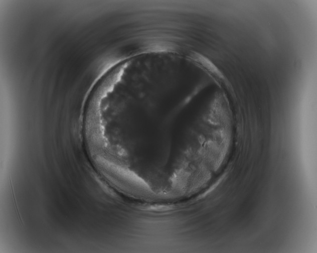 X0000085221178200703301657