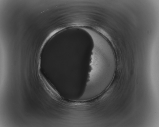 X0000085221179200703301657