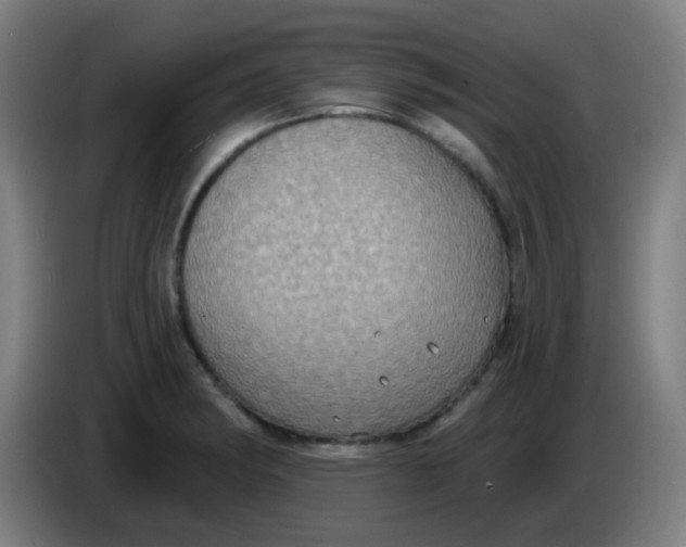 X0000085221182200703301657