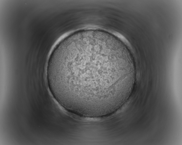 X0000085221183200703301657