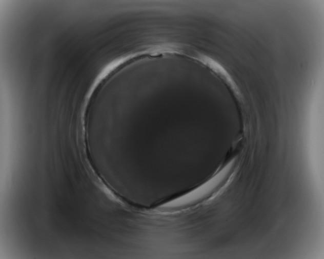 X0000085221184200703301657