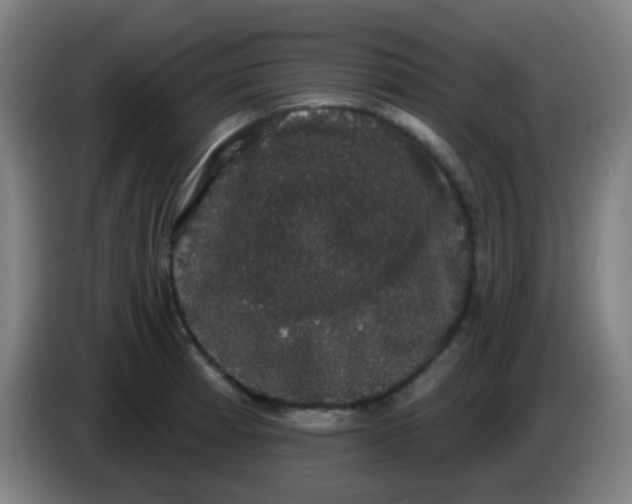 X0000085221185200703301657