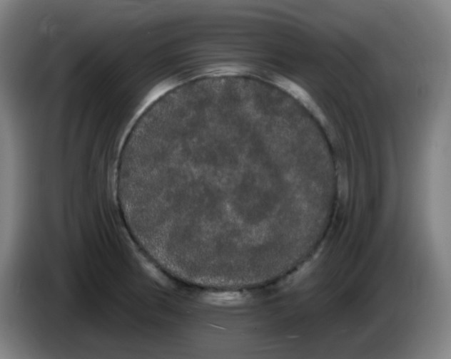 X0000085221186200703301657