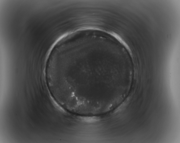 X0000085221189200703301657