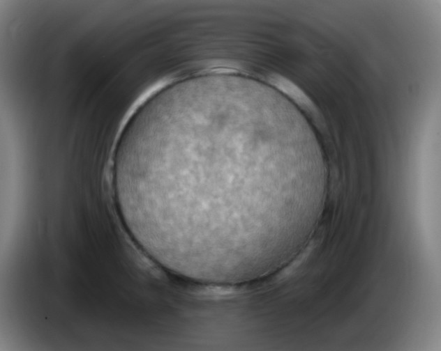 X0000085221190200703301657