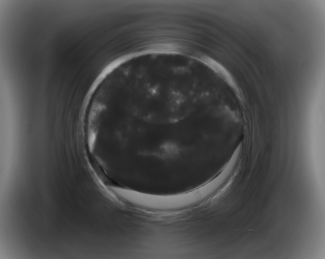 X0000085221192200703301656
