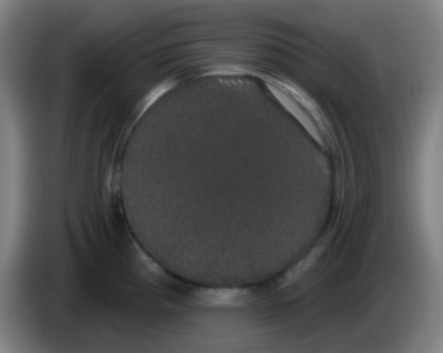 X0000085221193200703301656
