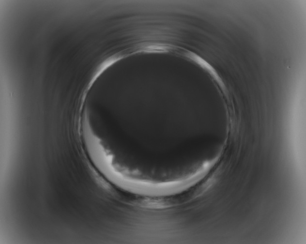 X0000085221194200703301656