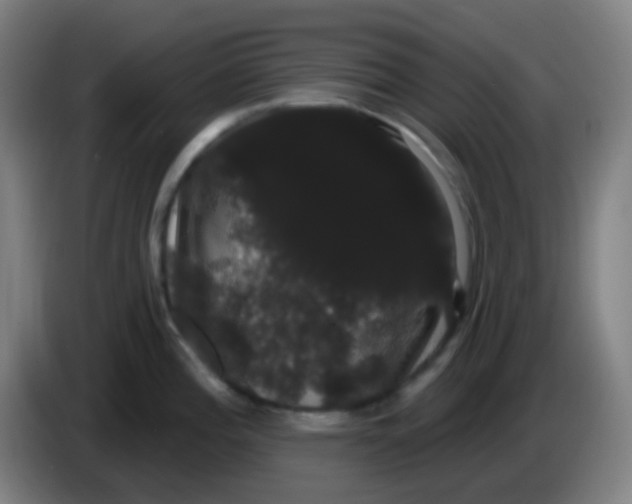 X0000085221196200703301656