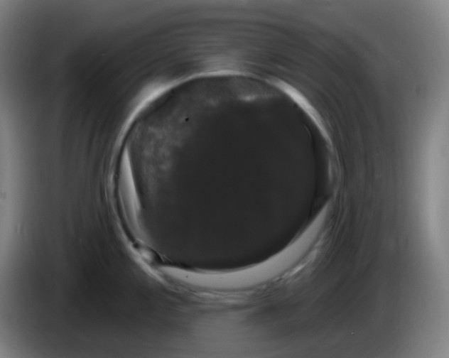 X0000085221197200703301656