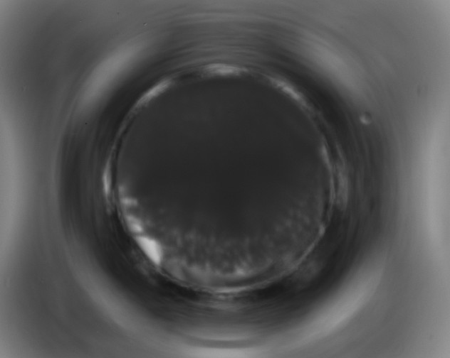 X0000085221198200703301656