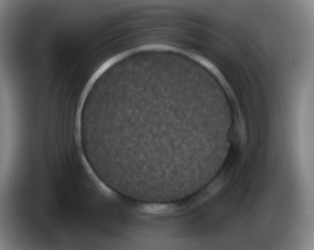 X0000085221199200703301656