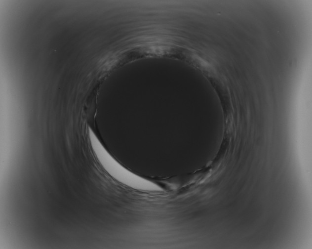 X0000085221202200703301656
