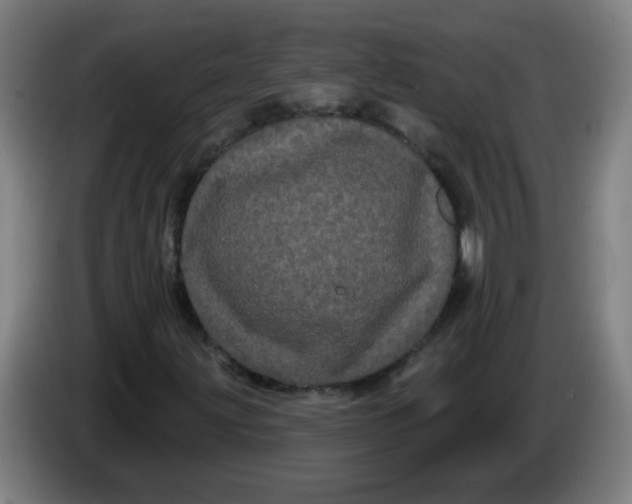 X0000085221203200703301656