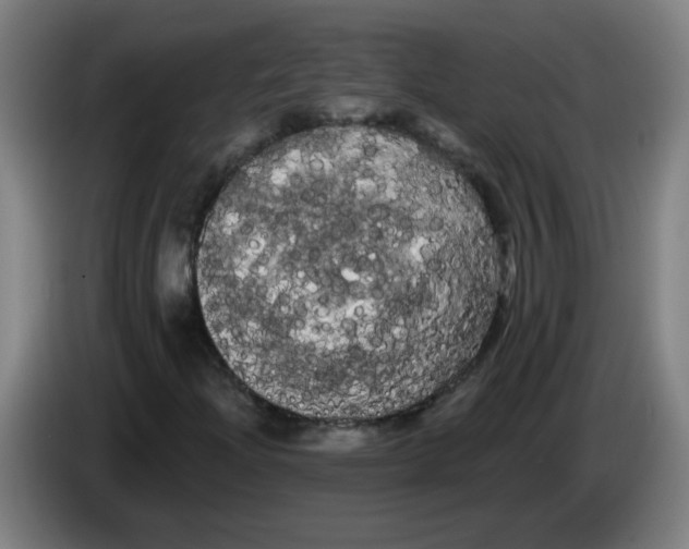 X0000085221204200703301656