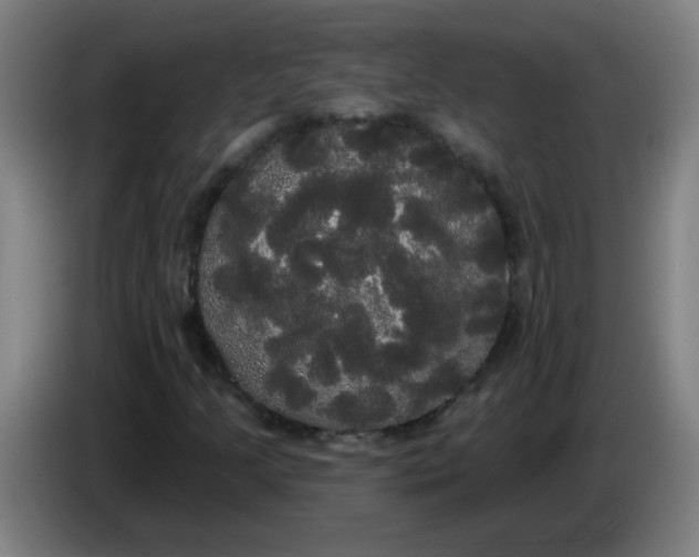 X0000085221205200703301656