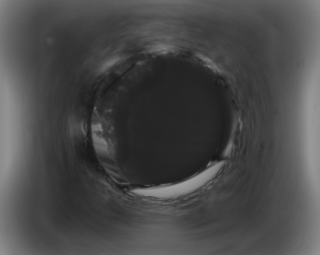 X0000085221206200703301656