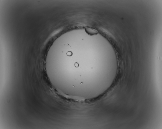X0000085221207200703301656