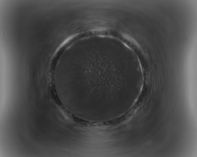 X0000085221208200703301656