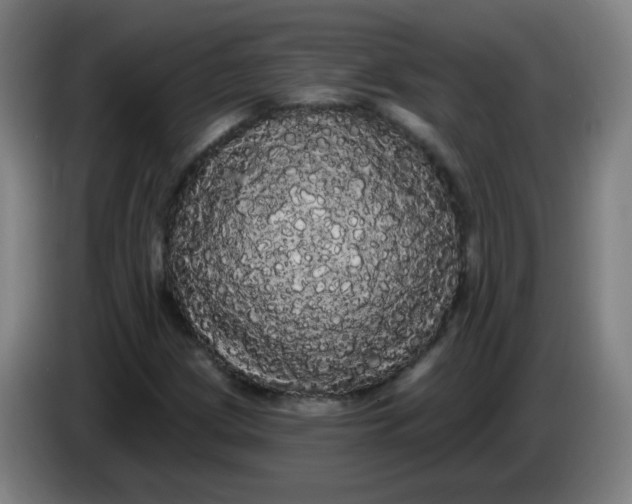 X0000085221209200703301656