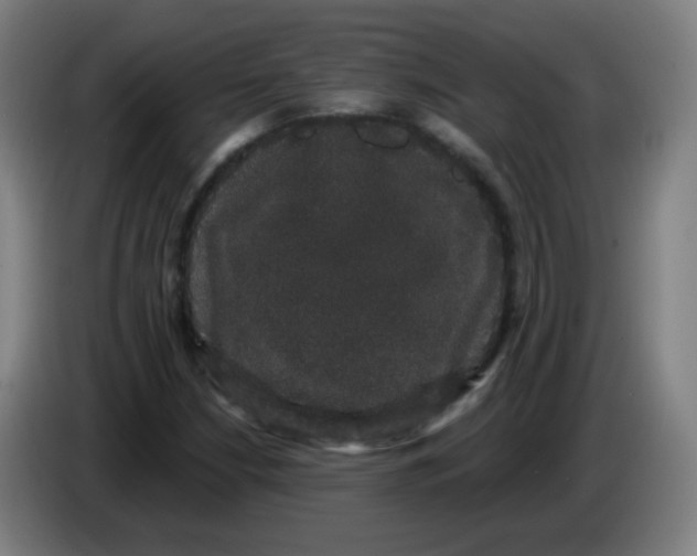 X0000085221210200703301656