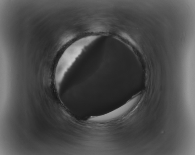 X0000085221213200703301656