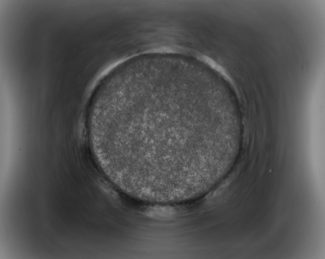 X0000085221215200703301656