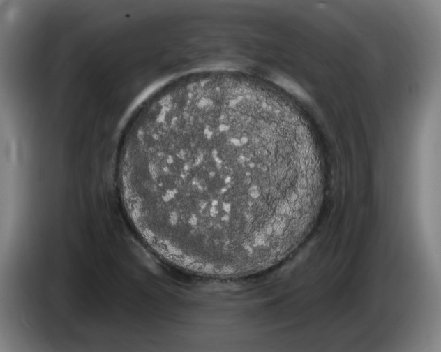 X0000085221216200703301656