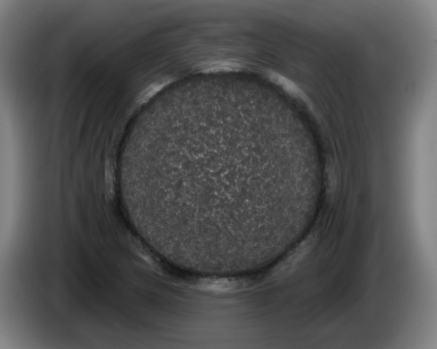 X0000085221217200703301656