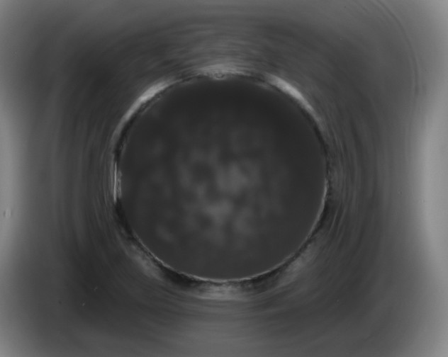 X0000085221219200703301656
