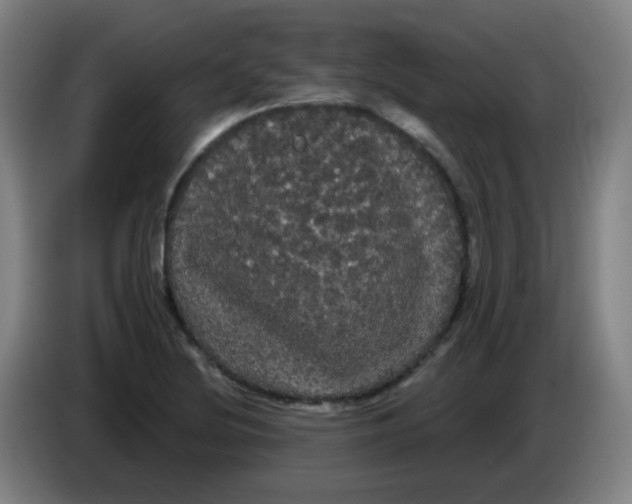 X0000085221220200703301656
