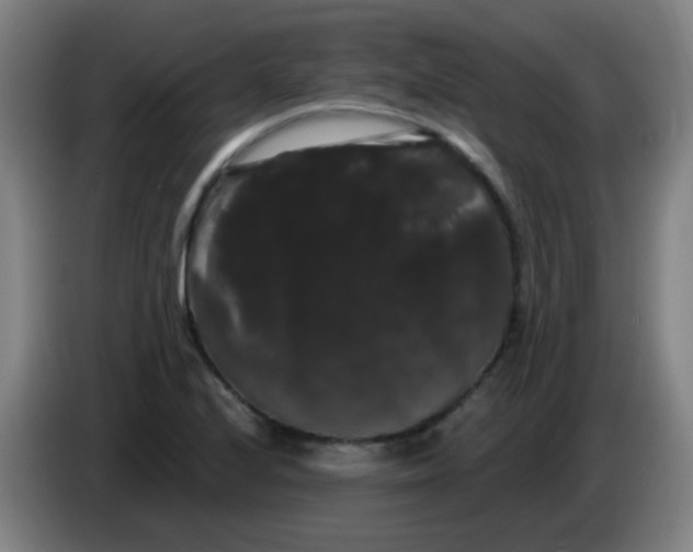 X0000085221224200703301656