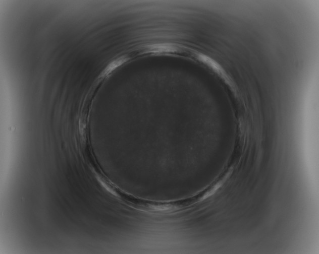 X0000085221225200703301656
