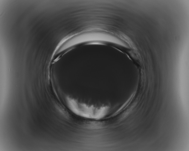 X0000085221226200703301656