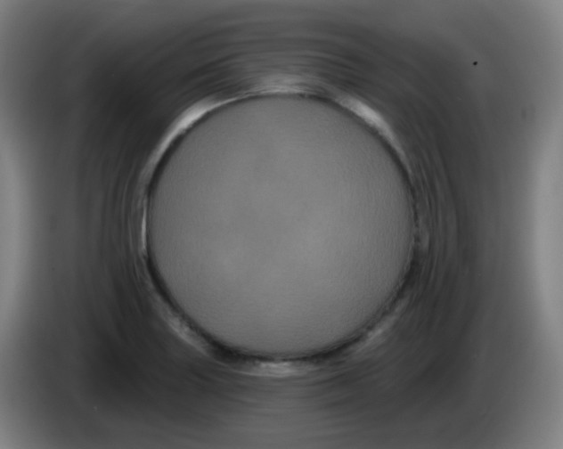 X0000085221227200703301656