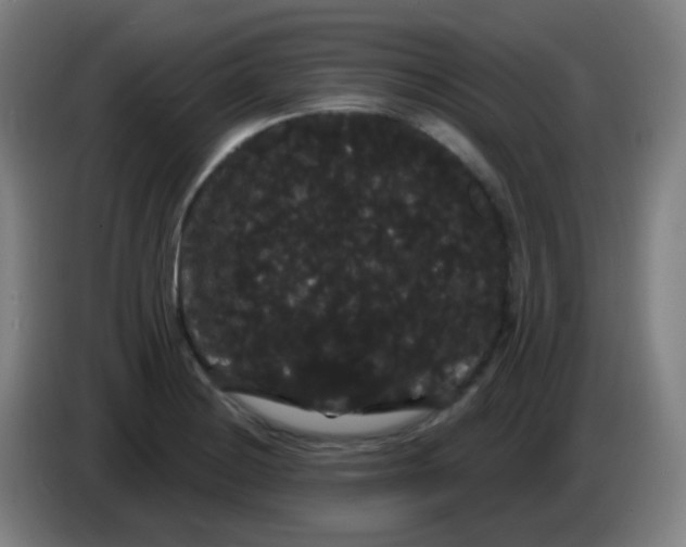 X0000085221228200703301656