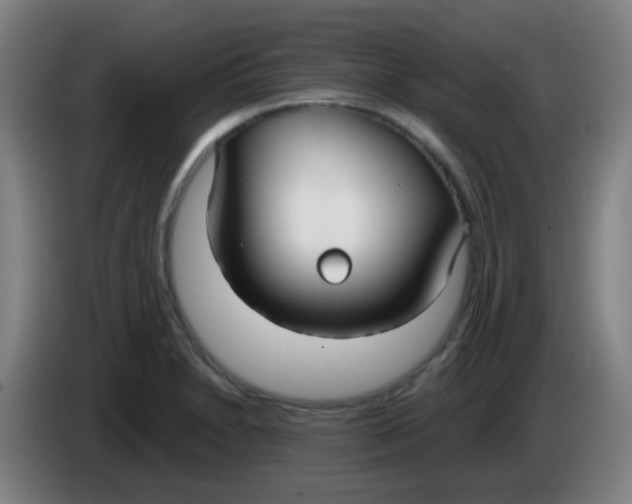 X0000085221230200703301656