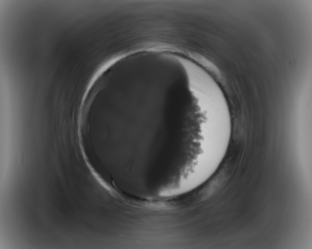 X0000085221231200703301656