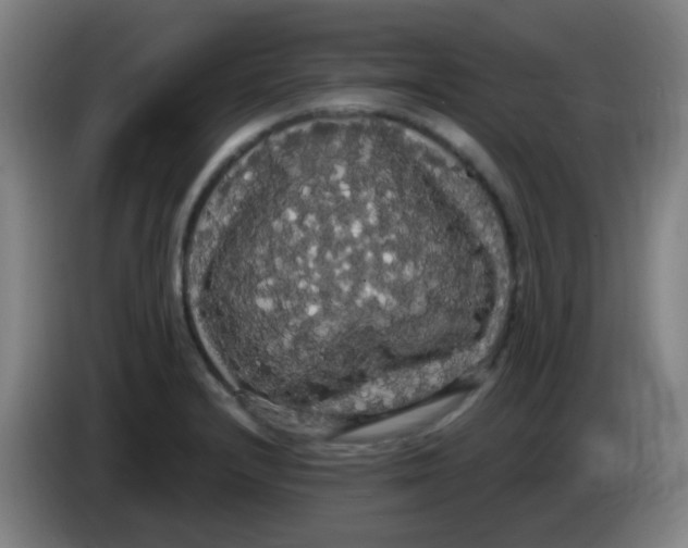 X0000085221232200703301656