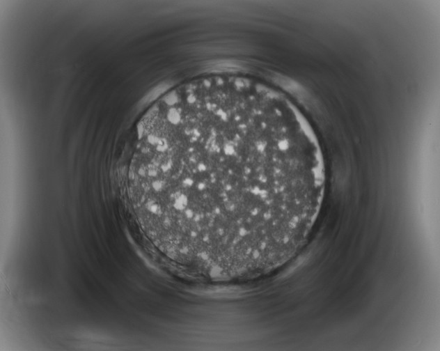 X0000085221233200703301656