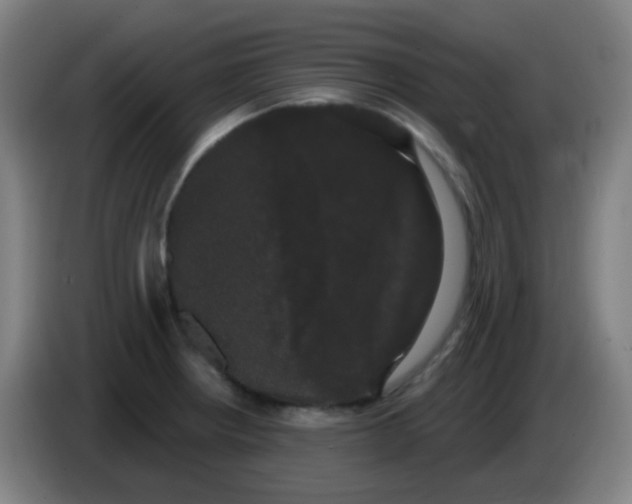 X0000085221234200703301656