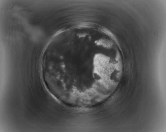 X0000085221235200703301656