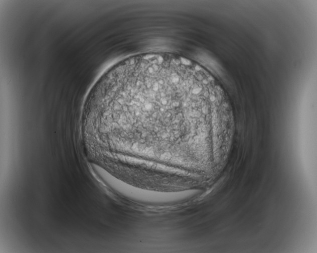 X0000085221236200703301656